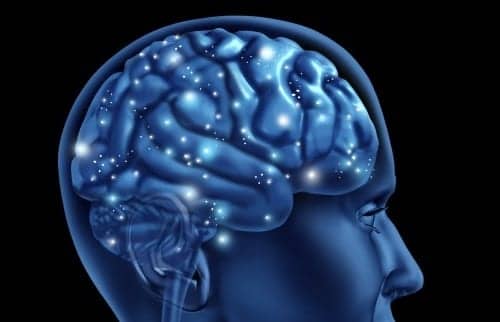 Hearing and Vision Rehabilitation Improves Quality of Life for Dementia Patients in Short-Term