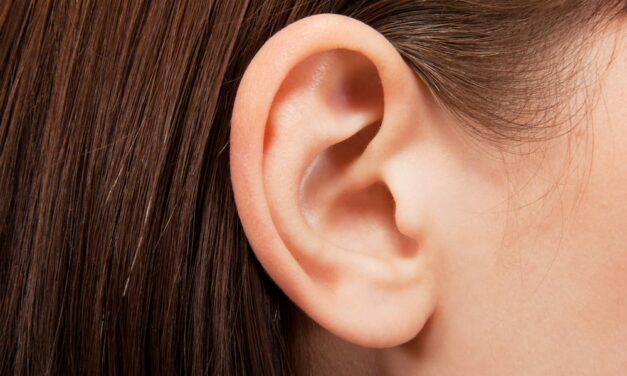Vestigial Muscle Used for Wiggling Ears Activates When People Listen Hard