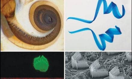 Cold Spring Harbor Laboratory Press Releases ‘Function and Dysfunction of the Cochlea’