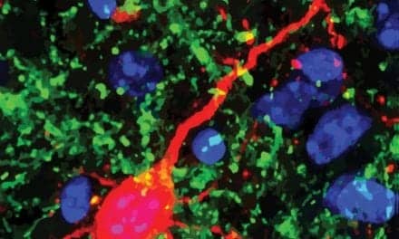 Researchers Looking into Darkness and Hearing Loss in Infants