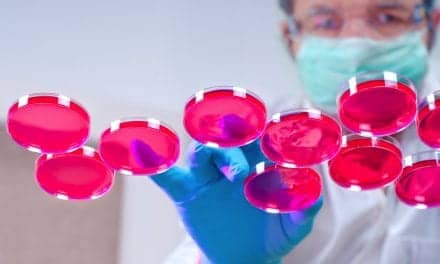 Scientists Closer to Generating Sensory Hair Cells for Hearing