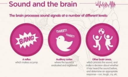 “Science of Hearing” Infographic Provides Hearing Education
