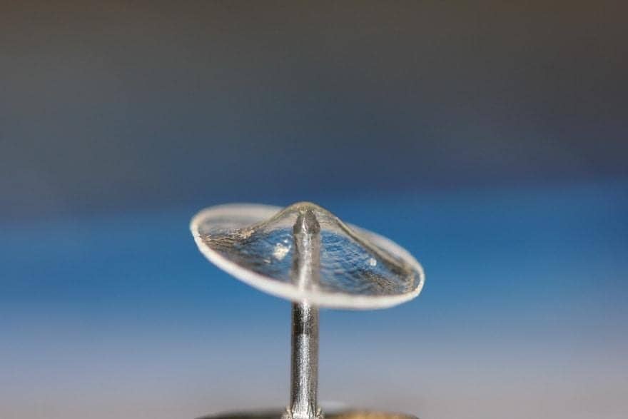 Ear Science Institute Australia Receives 3K Grant for ClearDrum Ear Implant