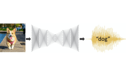 AI Networks Prefer Human Voice