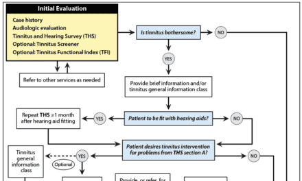 Toward Standardization of Basic Tinnitus  Services by Audiologists